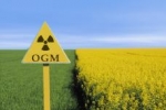 ogm.jpg