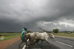 h_9_ill_1261453_inde-mousson.jpg