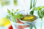 olive-oil-with-fresh-herbs_377.jpg