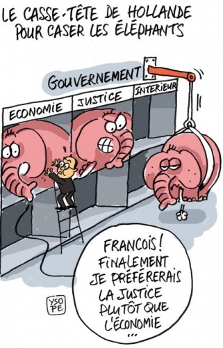 Hollande-case-elephants.jpg