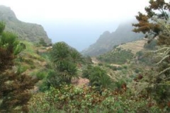 gomera.jpg