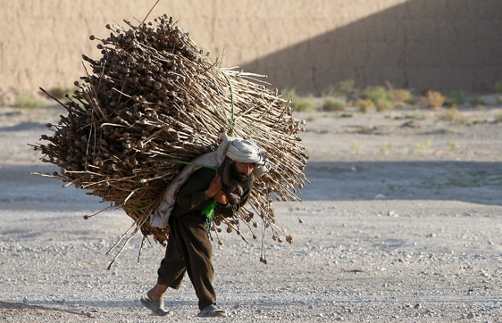 bala baluk (afghanistan).jpg