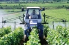 pesticides-toxicite.jpg